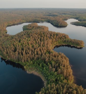 Interaktyviuose žemėlapiuose –  naujausia informacija apie Lietuvos gėlųjų vandenų būklę 